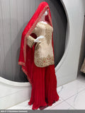 Punjabi Kleid